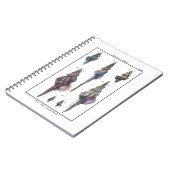 Colorful Seven Seashells Notitieboek (Linkerzijde)