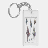 Colorful Seven Seashells Sleutelhanger (Voorkant Links)