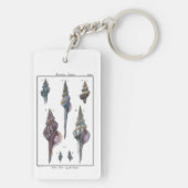 Colorful Seven Seashells Sleutelhanger (achterkant)