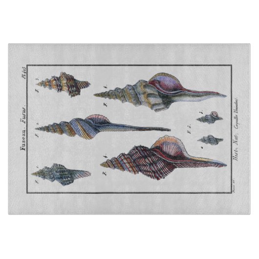 Colorful Seven Seashells Snijplank (Voorkant)