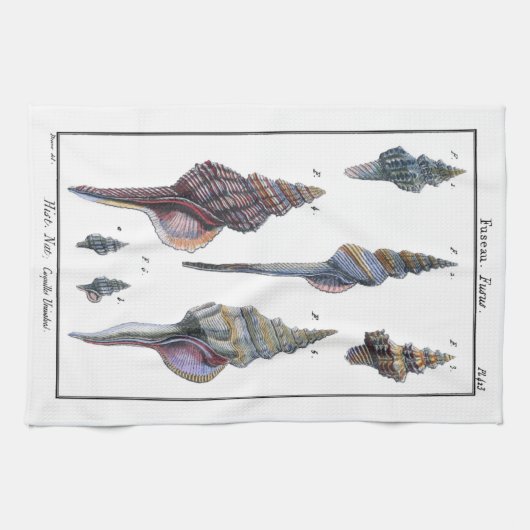 Colorful Seven Seashells Theedoek (Horizontaal)