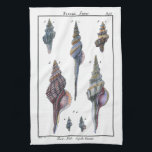 Colorful Seven Seashells Theedoek<br><div class="desc">Artiest Denis Diderot is getalenteerd en bekend om zijn grote afbeeldingen in het leven van zeeen. In dit levendige afbeelding vangt hij zeven kleurrijke Conch-seizoenen in hun meest natuurlijke en unieke stijlen. De plakken worden vaak gekraakt en komen in elke vorm en grootte. Haal vandaag je zeeschol en geniet van...</div>