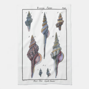 Colorful Seven Seashells Theedoek