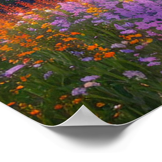 Colorful Skies Poster (Hoek)