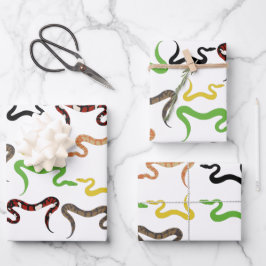 Colorful Snakes Python Reptile Patroon Inpakpapier Vel