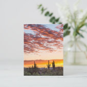 Colorful Sonoran Desert Sunrise Briefkaart (Staand voorkant)