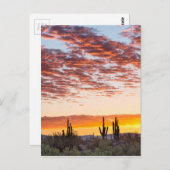 Colorful Sonoran Desert Sunrise Briefkaart (Voorkant / Achterkant)
