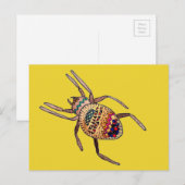 Colorful Spider arachnid art Briefkaart (Voorkant / Achterkant)