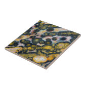 Colorful Spoted Ocean Jasper Tegeltje (Zijkant)