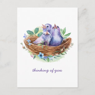 Colorful Spring Baby Birds in Nest Thinking of You Briefkaart