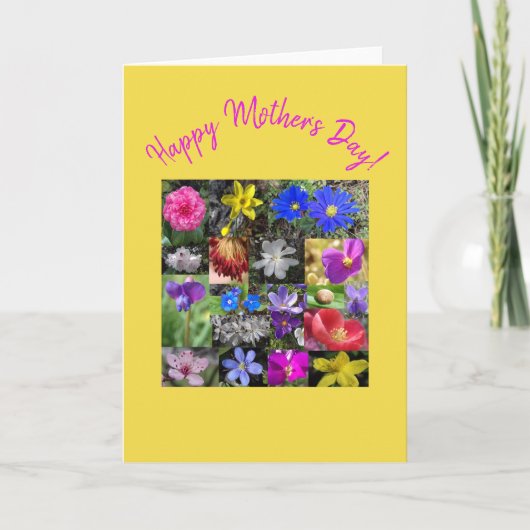 colorful spring - card kaart (Voorkant)