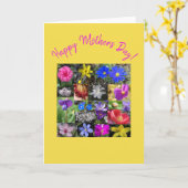 colorful spring - card kaart (Gele Bloem)