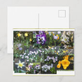Colorful Spring Flowers Collage DIY Postcard Feestdagenkaart (Voorkant / Achterkant)