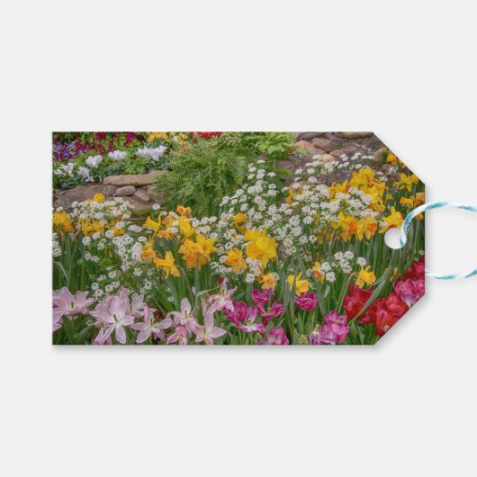 Colorful Spring Flowers in full bloom Cadeaulabel (Voorkant (Horizontaal))
