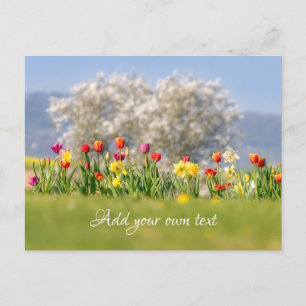 Colorful Spring Flowers with Tulps and Daffodils  Briefkaart