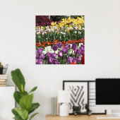 Colorful Spring Tulip Garden, Elizabeth Park Poster (Thuiskantoor)