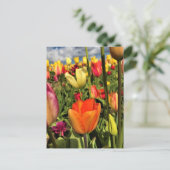 Colorful Spring Tulips Briefkaart (Staand voorkant)