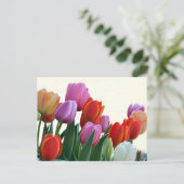 Colorful Spring Tulips Briefkaart (Staand voorkant)