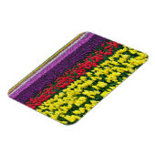 Colorful spring tulips magneet (Linkerzijde)