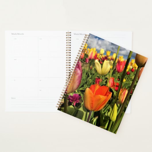 Colorful Spring Tulips Planner (Display)