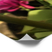 Colorful Spring Tulips Poster (Hoek)