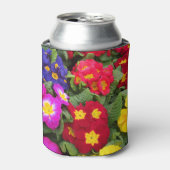 Colorful Springtime Medley of Primulas Blikjeskoeler (Blikje Voorkant)