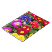 Colorful Springtime Medley of Primulas Notitieboek (Linkerzijde)