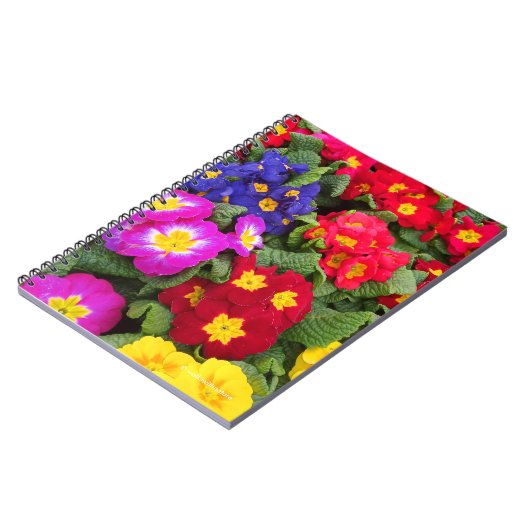 Colorful Springtime Medley of Primulas Notitieboek (Linkerzijde)