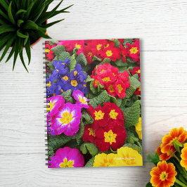 Colorful Springtime Medley of Primulas Notitieboek