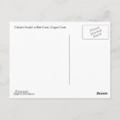 Colorful Starfish bij Bob Creek Briefkaart (Achterkant)