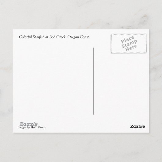 Colorful Starfish bij Bob Creek Briefkaart (Achterkant)