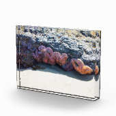 Colorful Starfish bij Bob Creek, OF Fotoblokken (Rechts)