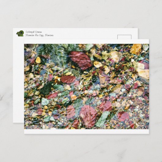 Colorful Stream Briefkaart (Voorkant / Achterkant)