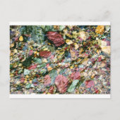 Colorful Stream Briefkaart (Voorkant)