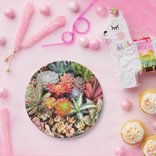 Colorful Succulent Mix Paper Bord (Feest)