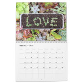 Colorful Succulent Propagendar Calendar Kalender (Feb 2026)
