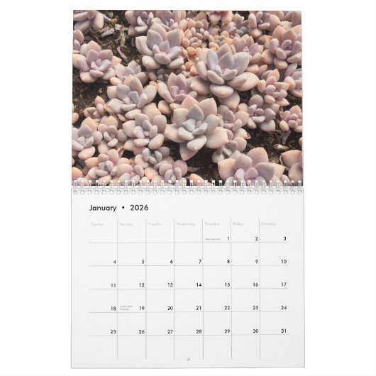 Colorful Succulent Propagendar Calendar Kalender