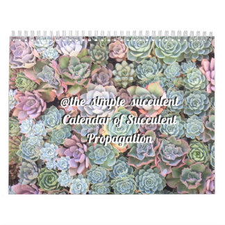 Colorful Succulent Propagendar Calendar Kalender