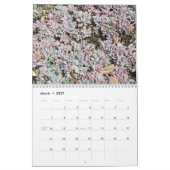 Colorful Succulent Propagendar Calendar Kalender (Mar 2027)