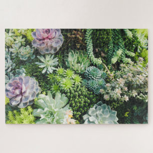 Colorful Succulents 1014 stuks Legpuzzel