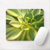 Colorful Succulents Mousepad #2 Muismat (Met muis)