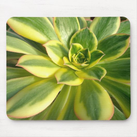 Colorful Succulents Mousepad #2 Muismat (Voorkant)
