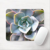 Colorful Succulents Mousepad #3 Muismat (Met muis)