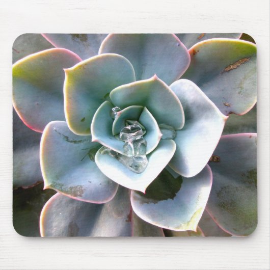 Colorful Succulents Mousepad #3 Muismat (Voorkant)