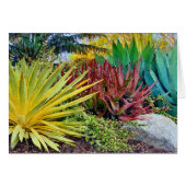 Colorful Succulents wenskaart (Voorkant Horizontaal)