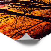 Colorful Sunset met een gedempte boom, Ohio Poster (Hoek)
