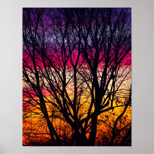 Colorful Sunset met een gedempte boom, Ohio Poster (Voorkant)