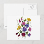 Colorful Sweet Peas Briefkaart (Voorkant / Achterkant)
