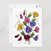 Colorful Sweet Peas Briefkaart (Voorkant / Achterkant)