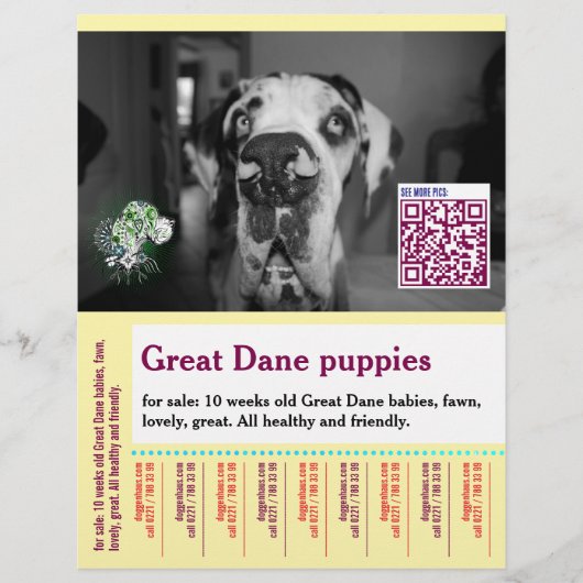 Colorful tear off dog flyer  (Voorkant)